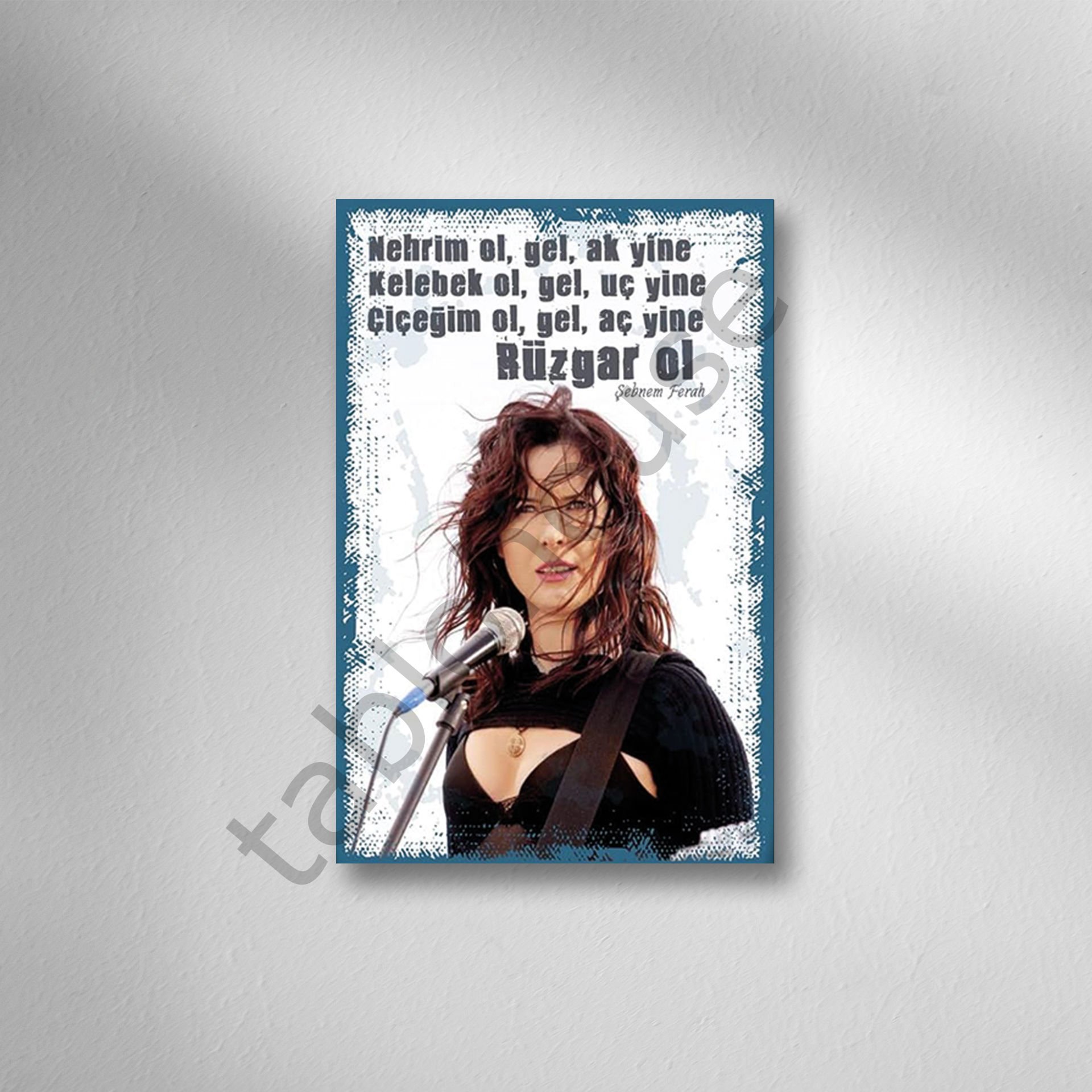 Şebnem Ferah Retro Ahşap Poster