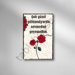 Çok Güzel Gülüyordu Sevmeden Geçemedim  Retro Ahşap Poster