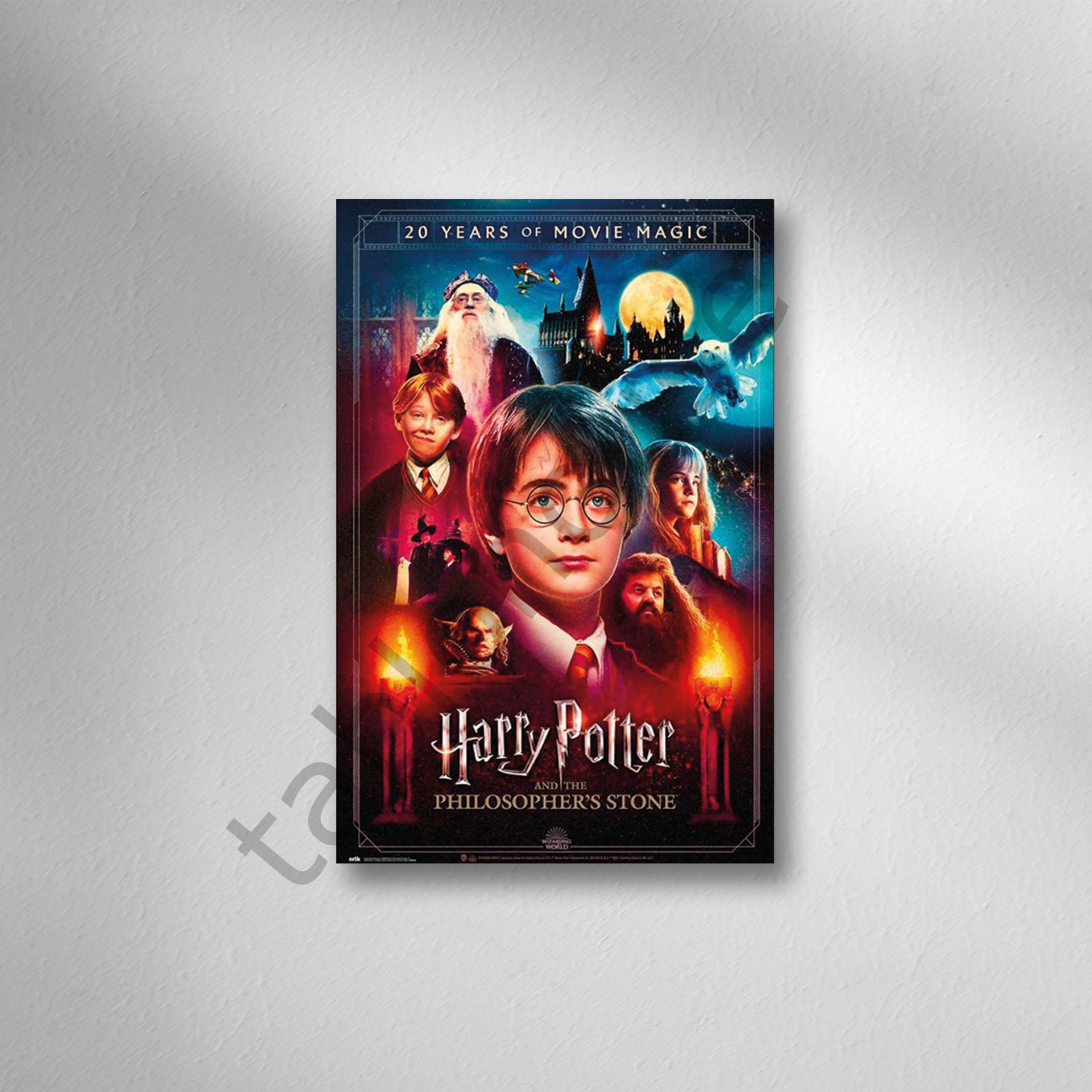 Harry Potter Retro  Ahşap Poster
