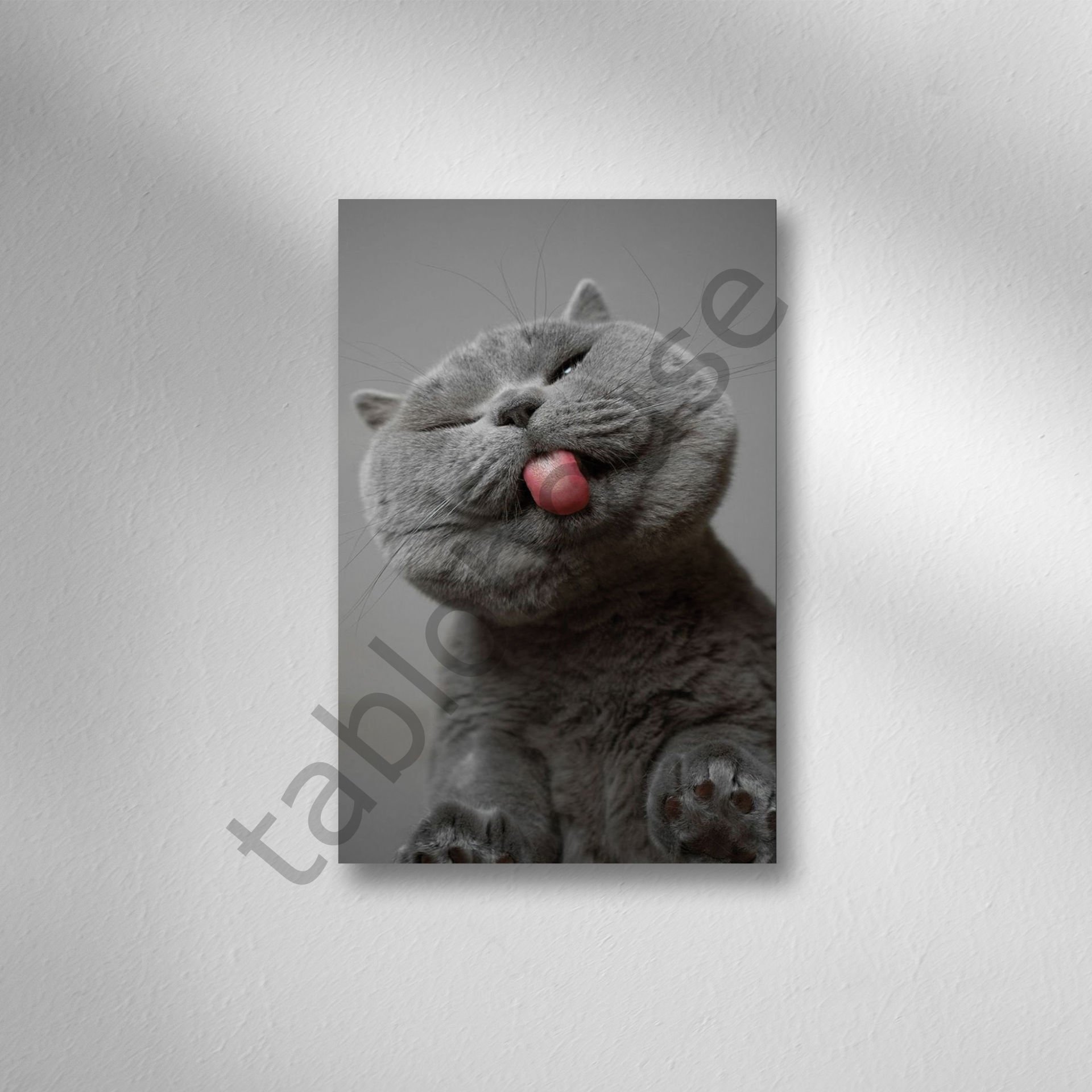 Kedi Retro Ahşap Poster