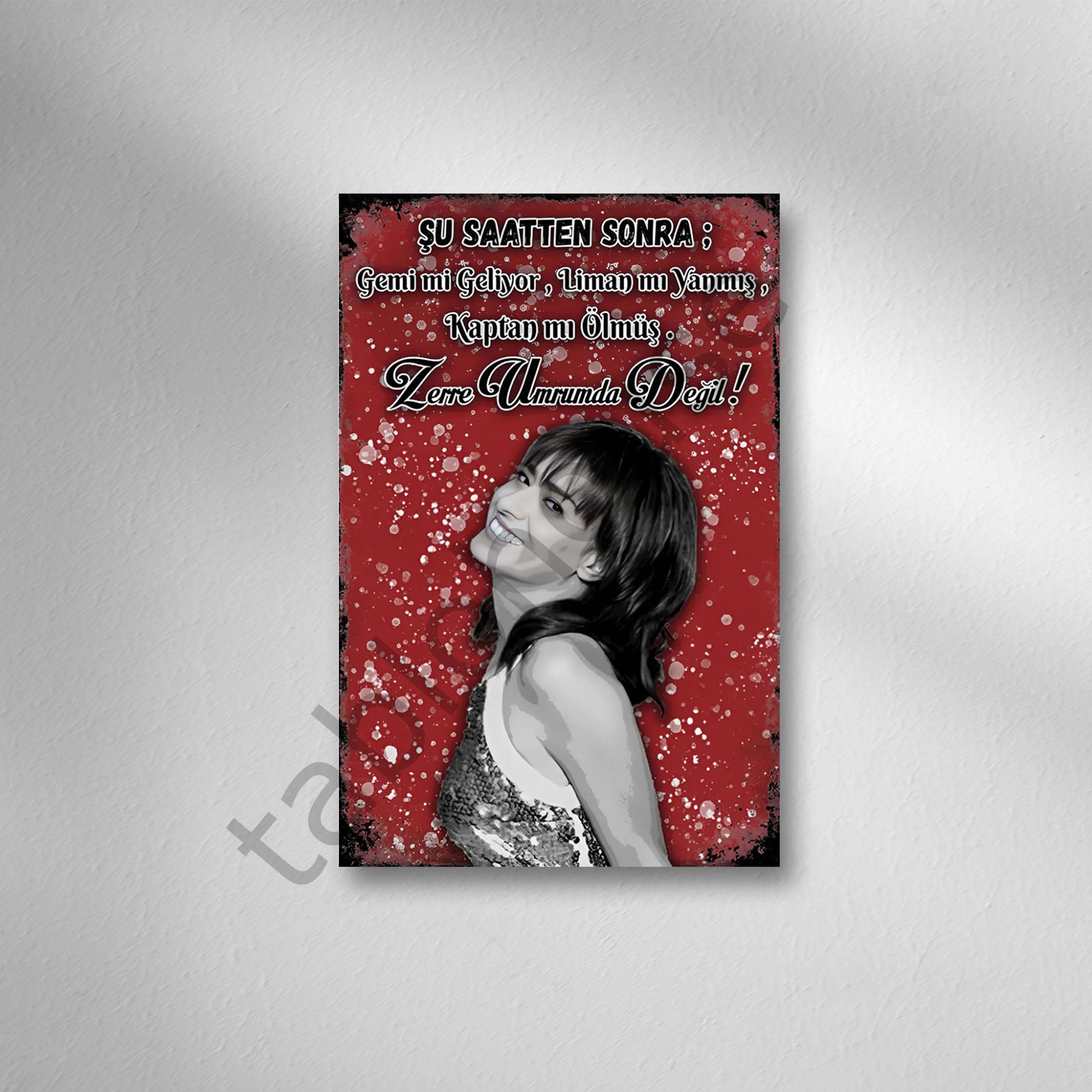 Yıldız Tilbe Retro Ahşap Poster