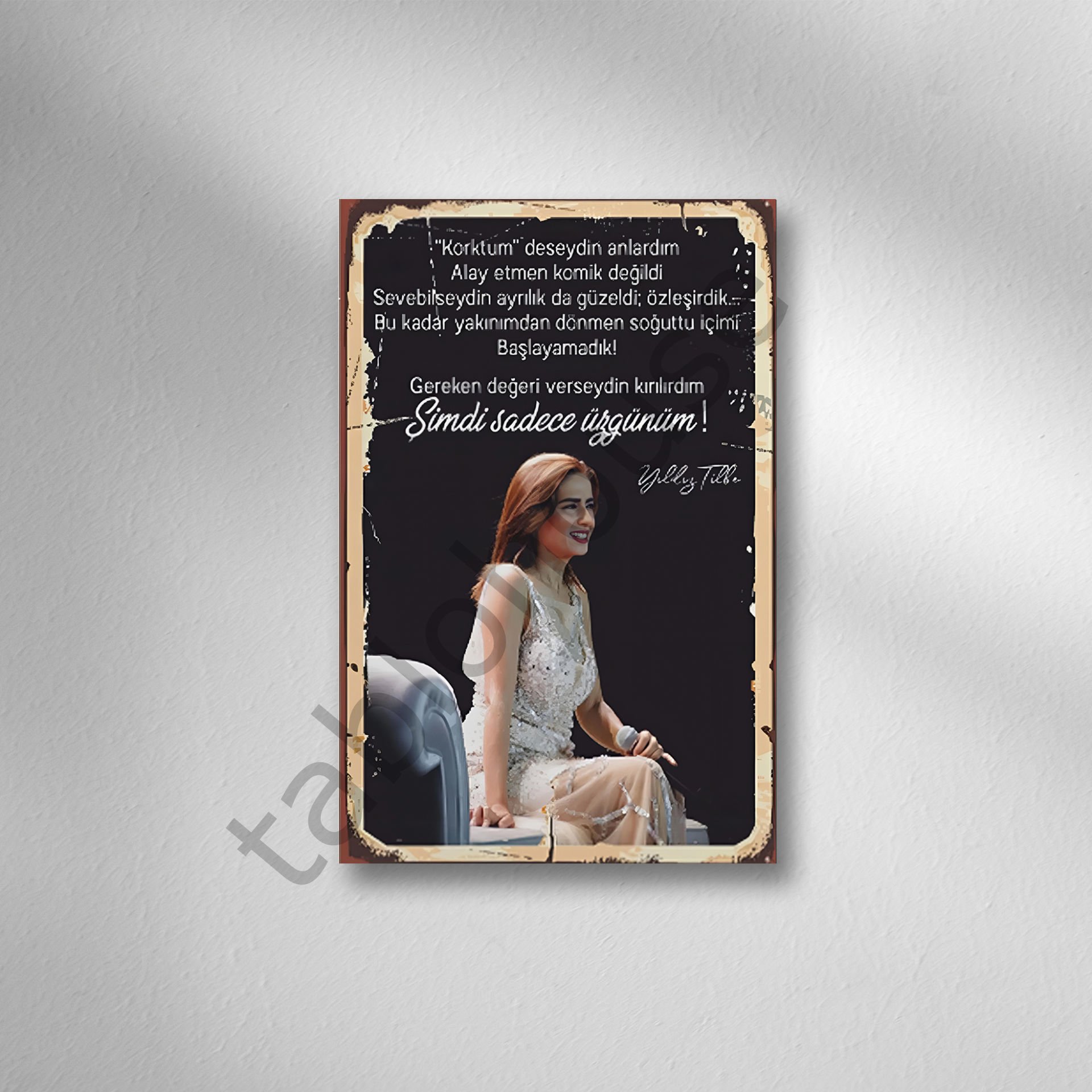 Yıldız Tilbe Retro Ahşap Poster
