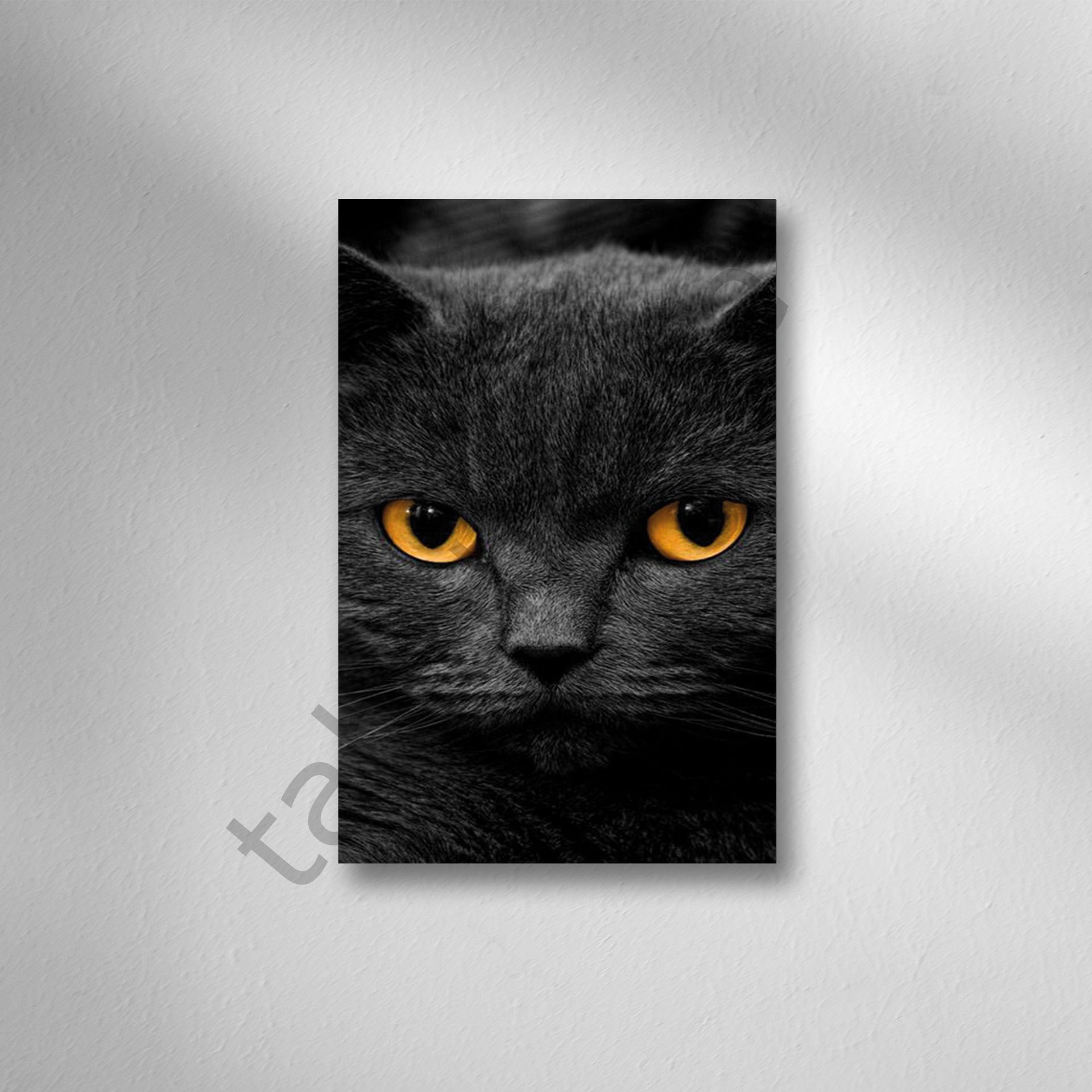 Kedi Retro Ahşap Poster
