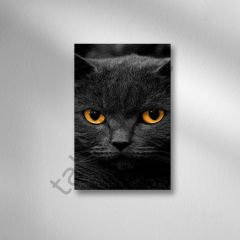 Kedi Retro Ahşap Poster