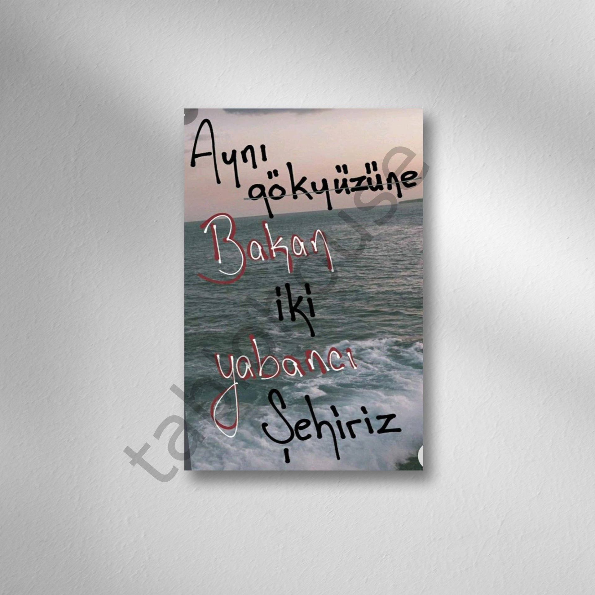 Aynı Gökyüzüne Bakan Retro Ahşap Poster