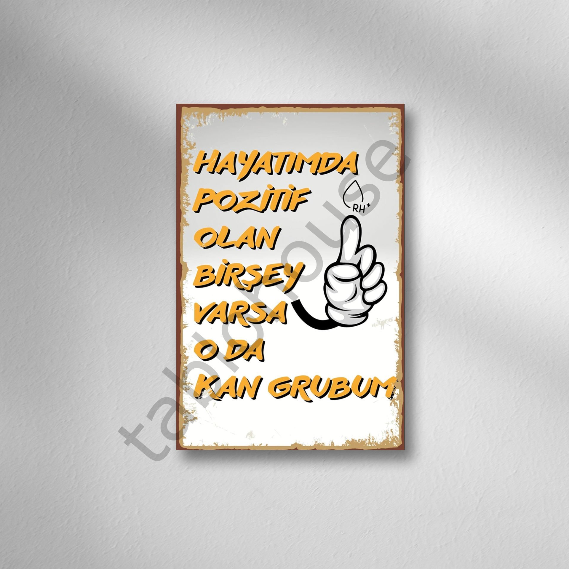 Hayatımda Pozitif Olan Birşey Varsa Oda Kan Grubum Retro Ahşap Poster